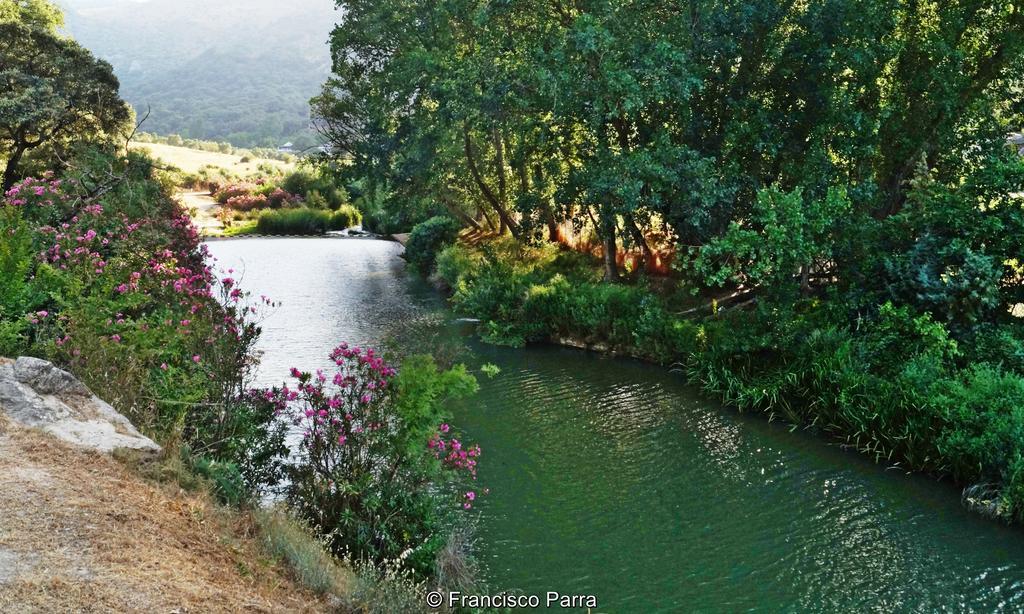 Casa Rural El Nacimiento Бенаохан Экстерьер фото